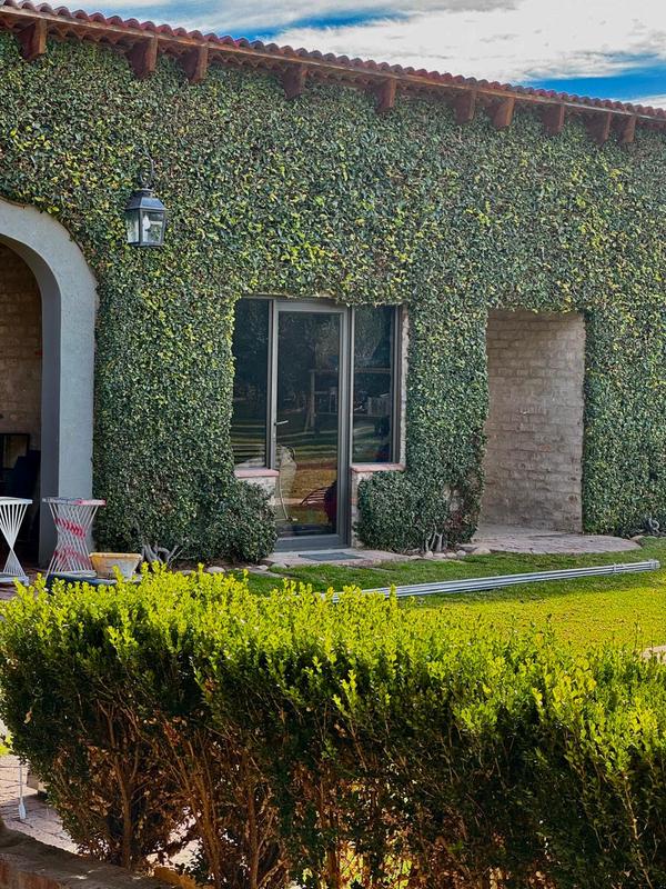 8 Bedroom Property for Sale in Oudtshoorn Western Cape